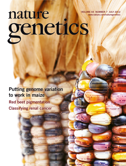 <em>Nature Genetics</em>: Maize HapMap2 Unlocks the Extensive Variation in a Genome in Flux