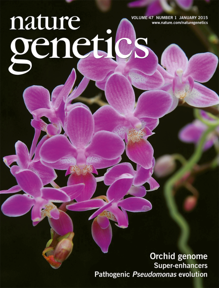 Genome Sequencing of Phalaenopsis equestris: Unraveling Orchid Evolution and Floral Diversity