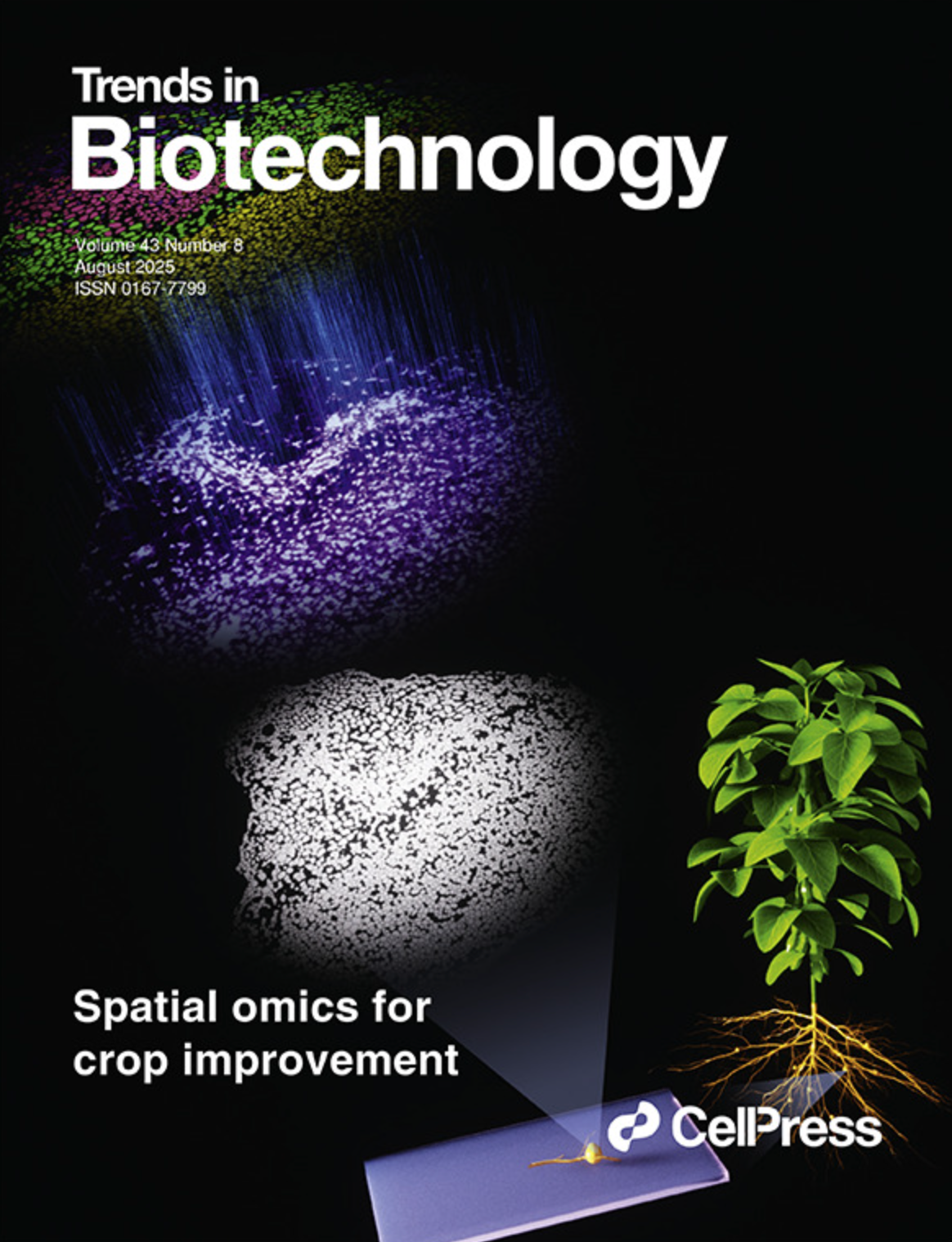 Review Article on Spatial Omics for Plant Research