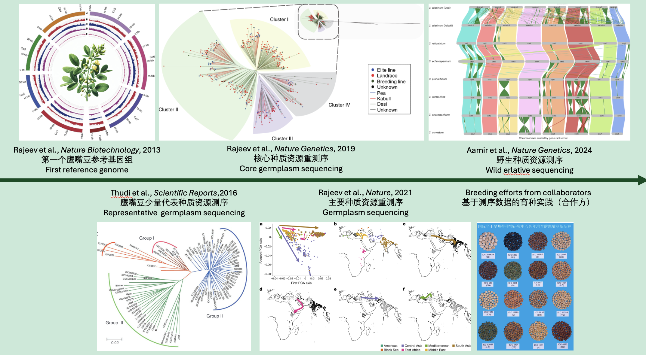 Chickpea genome research