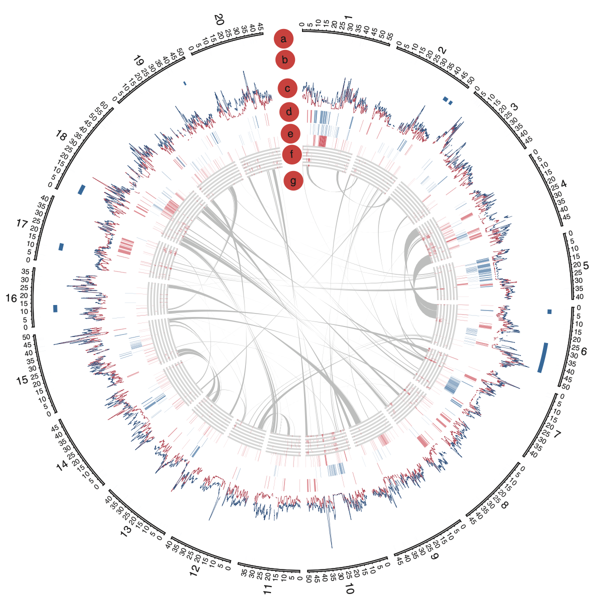 Resequencing 31 Wild and Cultivated Soybean Genomes: Insights into Genetic Diversity and Domestication