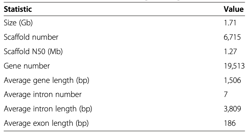 Genome Draft of the Legless Anguid Lizard *Ophisaurus gracilis*