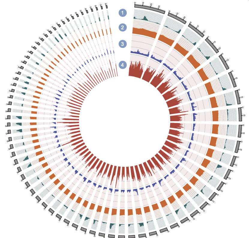 Genome Sequencing of Mekong Tiger Perch: Insights into Phylogeny and Conservation