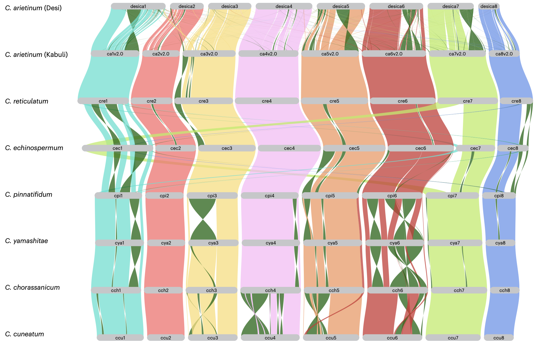 Cicer Super-Pangenome Study Offers Insights for Chickpea Improvement