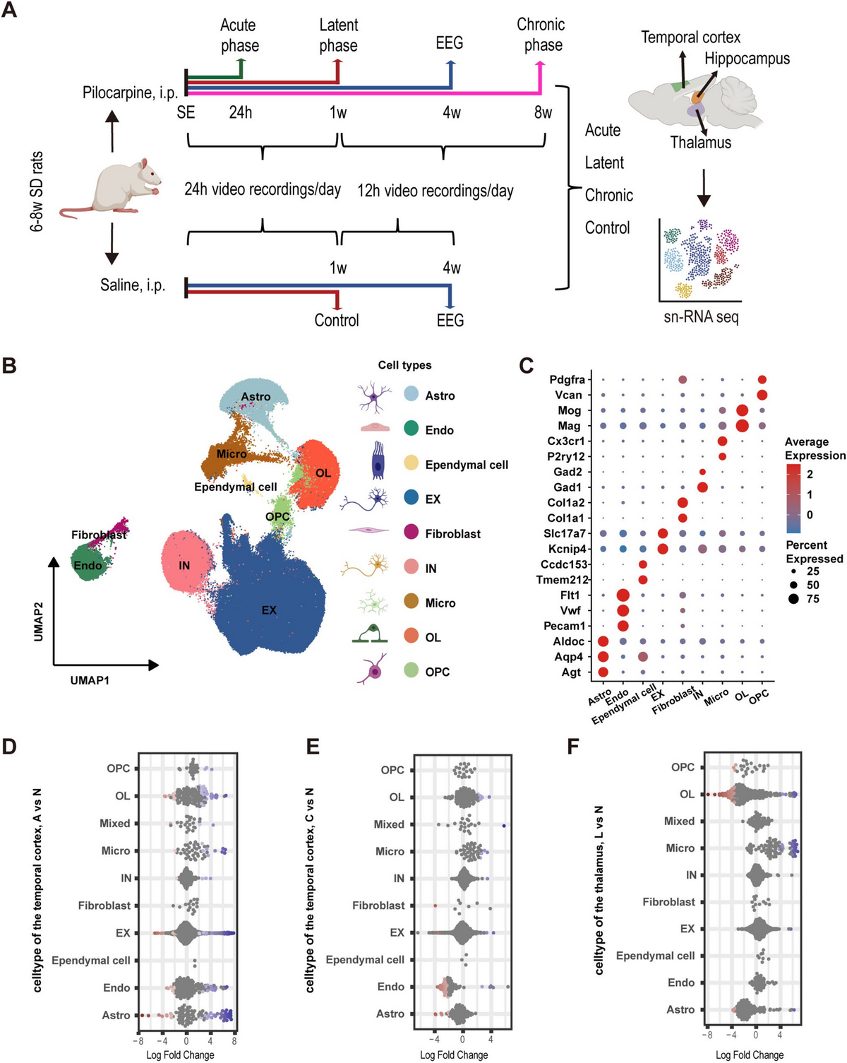 Single-Nucleus Transcriptomic Atlas Reveals Cellular and Molecular Changes During Epileptogenesis